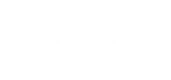 Tactical Drones